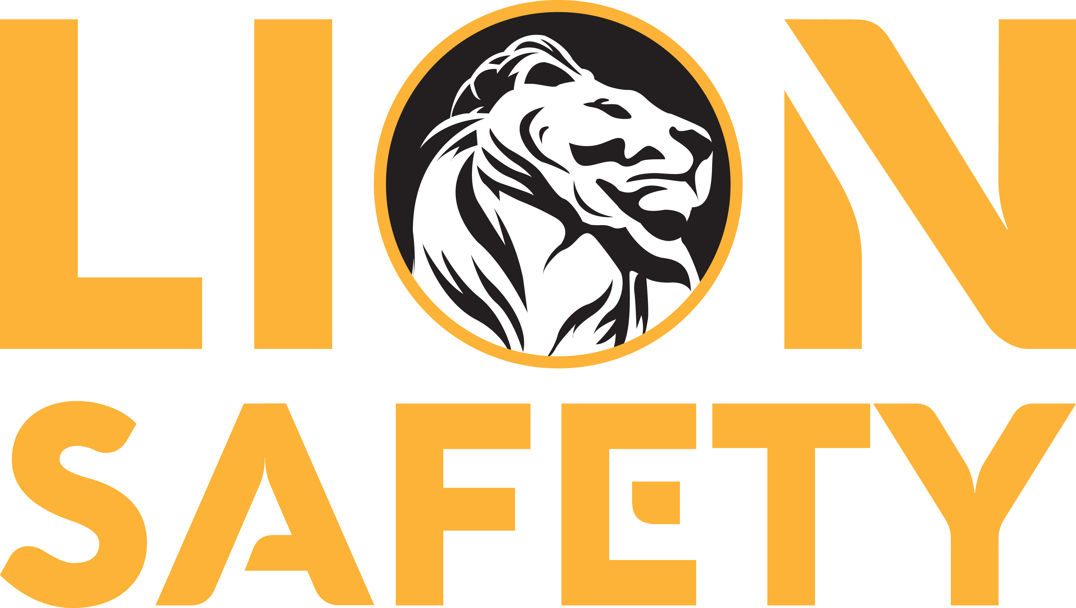 LION Safety good logo