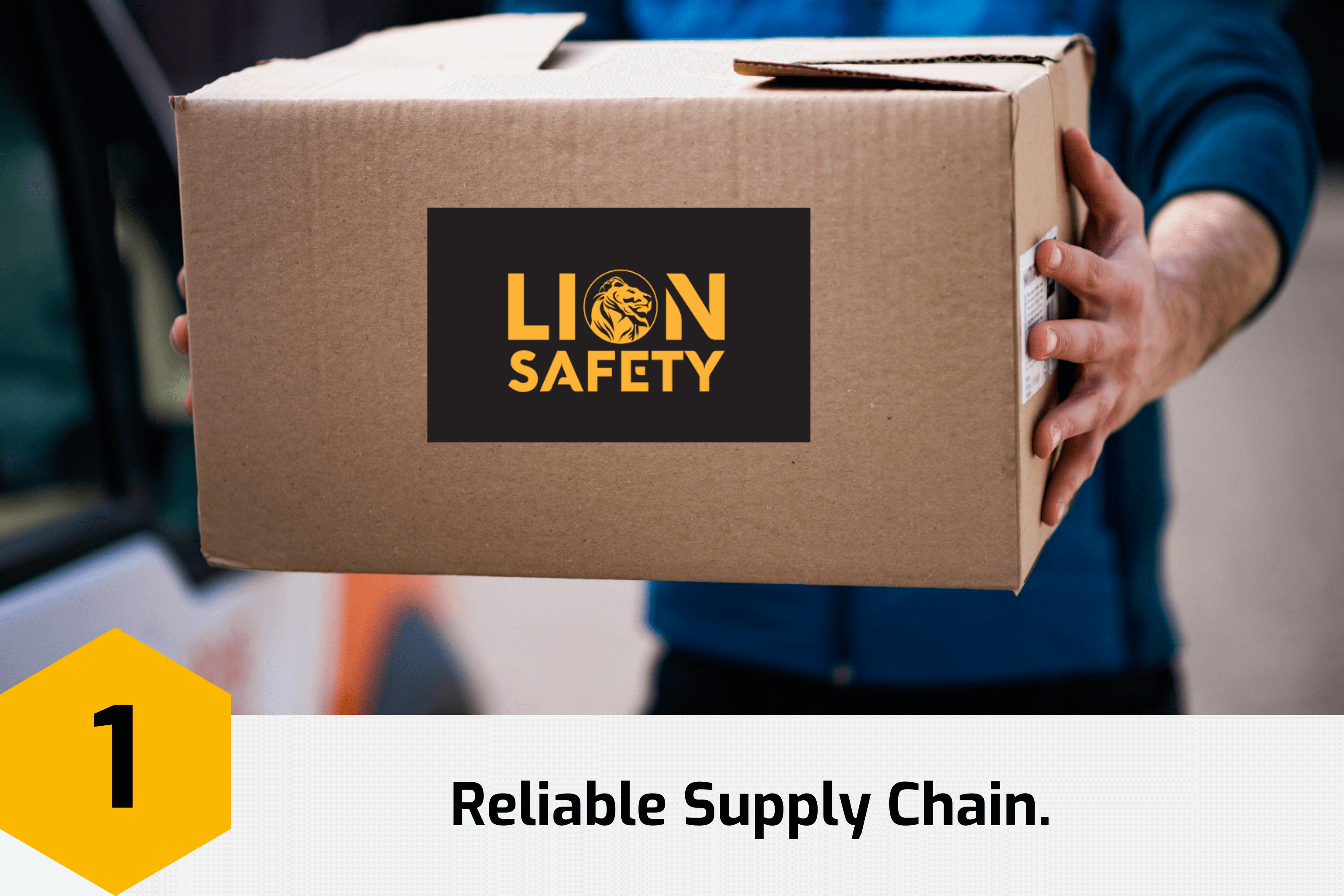 Lion Safety Reliable Supply Chain