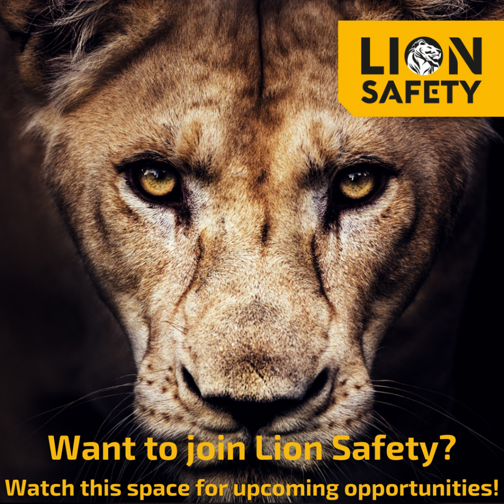 lion safety